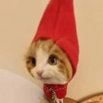 Mauricio Calderón avatar